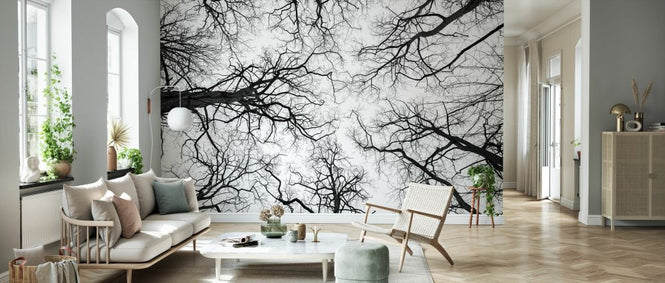 PHOTOWALL / Low Angle View of Tree Tops (e333982)