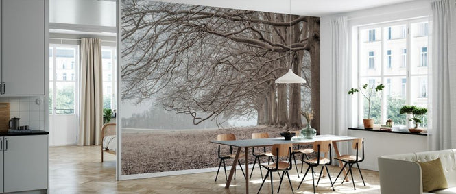PHOTOWALL / Trees in a Row (e333983)