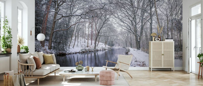 PHOTOWALL / Canal on a Snowy Day (e333992)