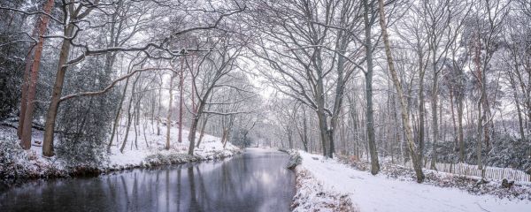 PHOTOWALL / Canal on a Snowy Day (e333992)