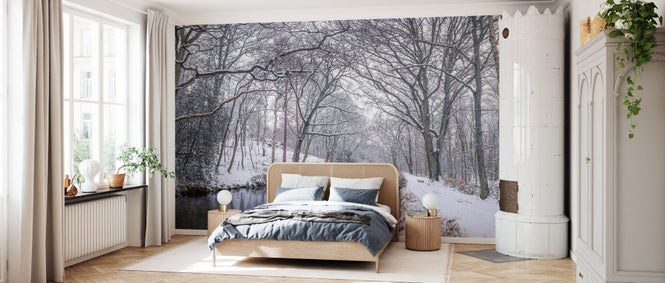 PHOTOWALL / Canal on a Snowy Day (e333992)