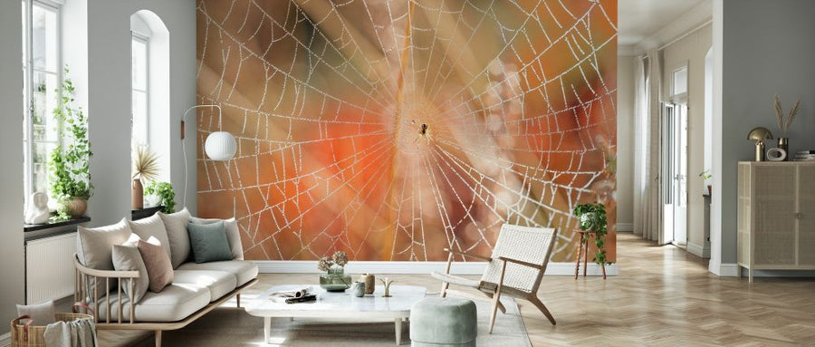 PHOTOWALL / Spider Web on Morning Sunlight (e333994)