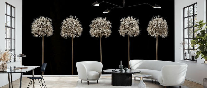 PHOTOWALL / Five Alliums (e334001)