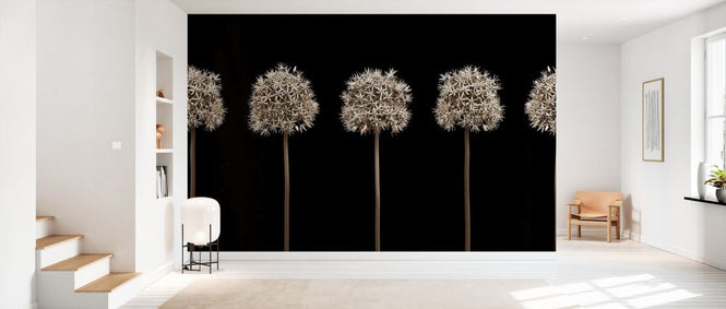 PHOTOWALL / Five Alliums (e334001)