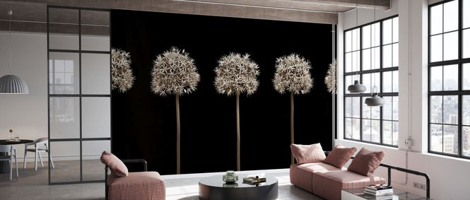 PHOTOWALL / Five Alliums (e334001)