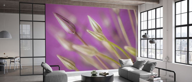 PHOTOWALL / Purple Allium Close-Up (e334002)