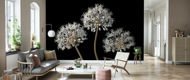 PHOTOWALL / Three Alliums II (e334004)