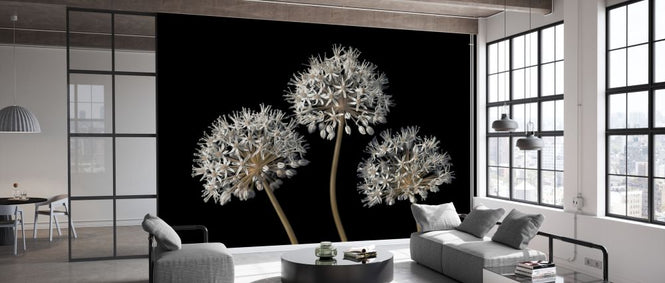 PHOTOWALL / Three Alliums II (e334004)