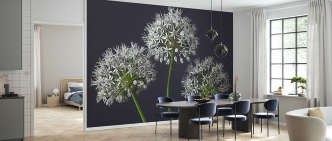PHOTOWALL / Three Alliums III (e334005)