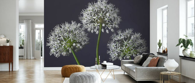 PHOTOWALL / Three Alliums III (e334005)