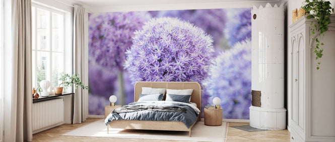 PHOTOWALL / Alliums (e334020)