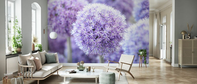 PHOTOWALL / Alliums (e334020)