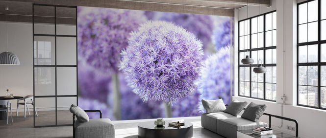 PHOTOWALL / Alliums (e334020)