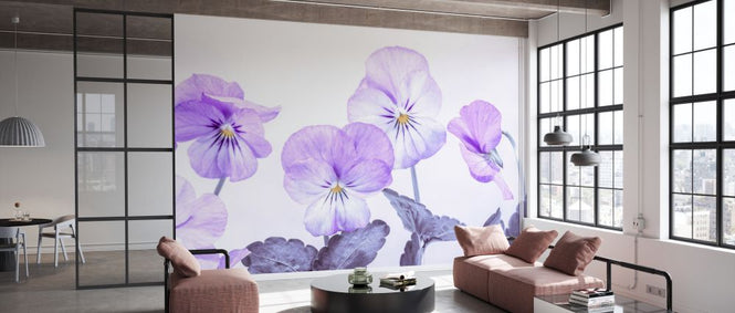 PHOTOWALL / Violet Flowers (e334023)