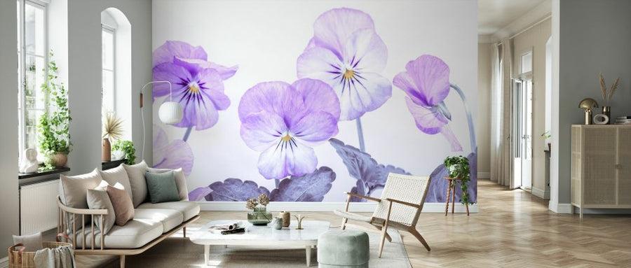 PHOTOWALL / Violet Flowers (e334023)