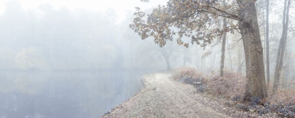 PHOTOWALL / Autumn Canal III (e334068)