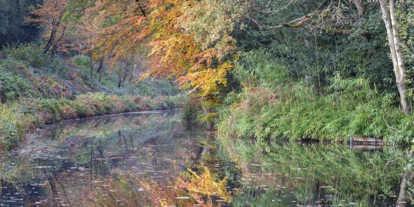 PHOTOWALL / Autumn Canal IV (e334070)