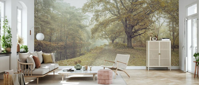 PHOTOWALL / Misty Canal Autumn (e334072)
