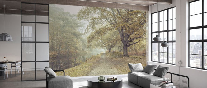 PHOTOWALL / Misty Canal Autumn (e334072)