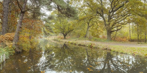 PHOTOWALL / Canal at Autumn (e334076)