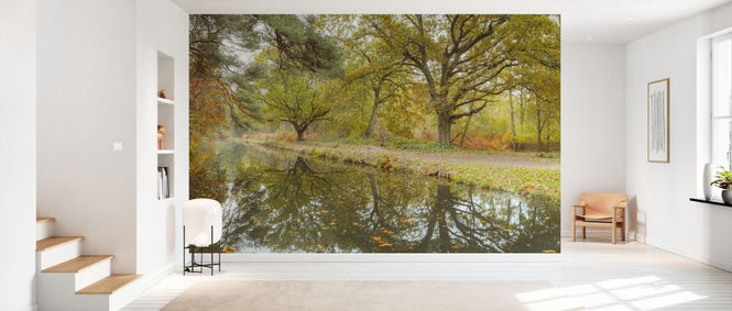 PHOTOWALL / Canal at Autumn (e334076)