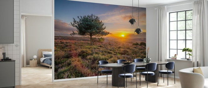 PHOTOWALL / Lone Tree Sunset New Forest (e334078)