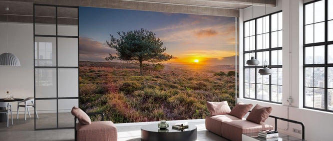 PHOTOWALL / Lone Tree Sunset New Forest (e334078)
