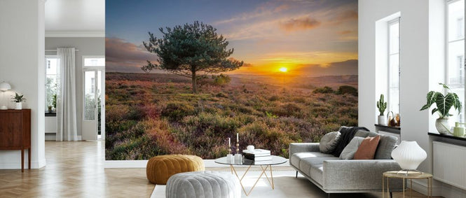 PHOTOWALL / Lone Tree Sunset New Forest (e334078)