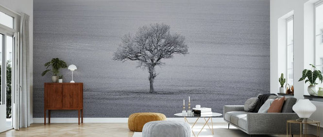 PHOTOWALL / Lone Tree III (e334082)