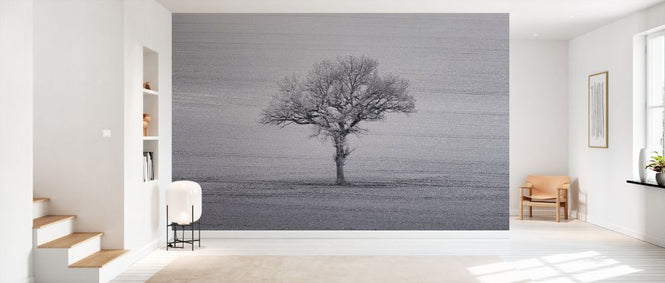 PHOTOWALL / Lone Tree III (e334082)