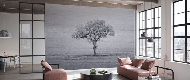 PHOTOWALL / Lone Tree III (e334082)