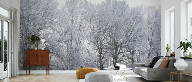 PHOTOWALL / Frosty Forest (e334084)