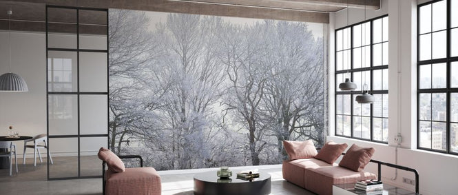 PHOTOWALL / Frosty Forest (e334084)