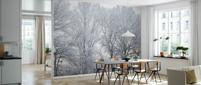 PHOTOWALL / Frosty Forest (e334084)