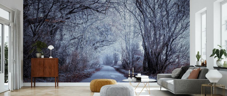 PHOTOWALL / Frosted Road Through Forest II (e334086)