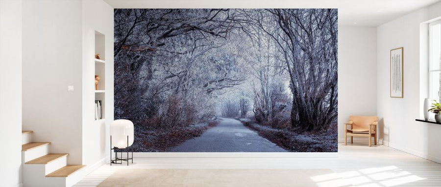 PHOTOWALL / Frosted Road Through Forest II (e334086)