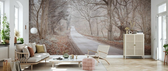 PHOTOWALL / Road Through Forest (e334087)