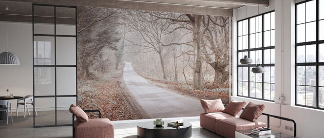 PHOTOWALL / Road Through Forest (e334087)