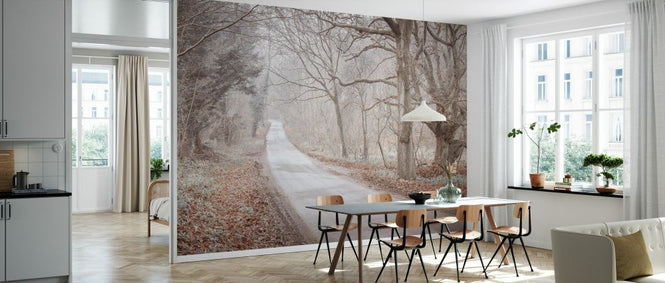 PHOTOWALL / Road Through Forest (e334087)