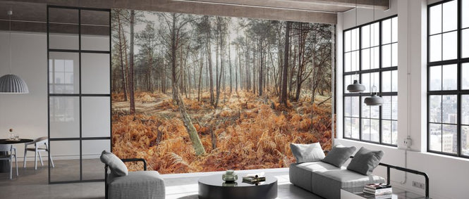 PHOTOWALL / Autumn Forest (e334093)