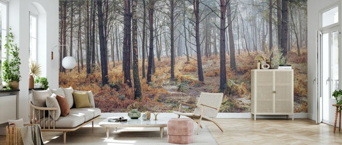 PHOTOWALL / Autumn Forest III (e334095)