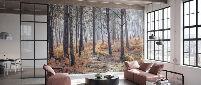 PHOTOWALL / Autumn Forest III (e334095)