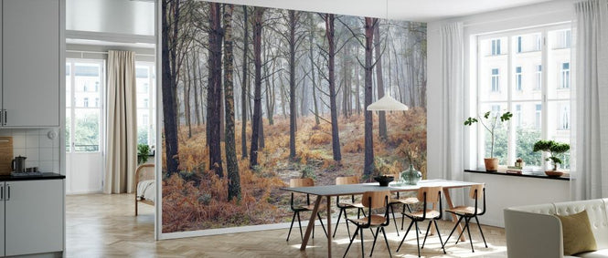 PHOTOWALL / Autumn Forest III (e334095)