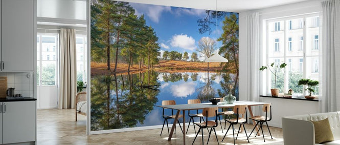PHOTOWALL / Trees by a Lake (e334096)