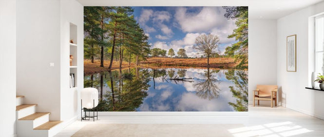 PHOTOWALL / Trees by a Lake II (e334097)