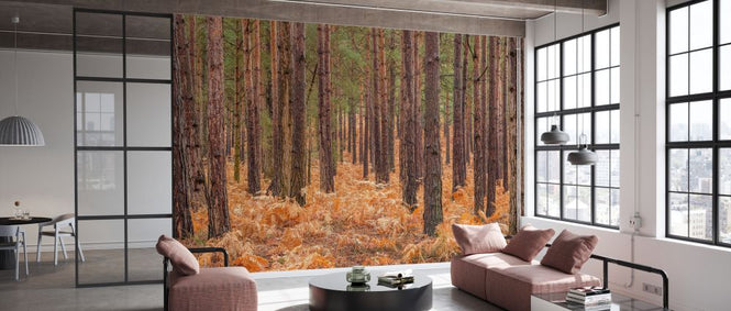 PHOTOWALL / Autumn Forest (e334099)