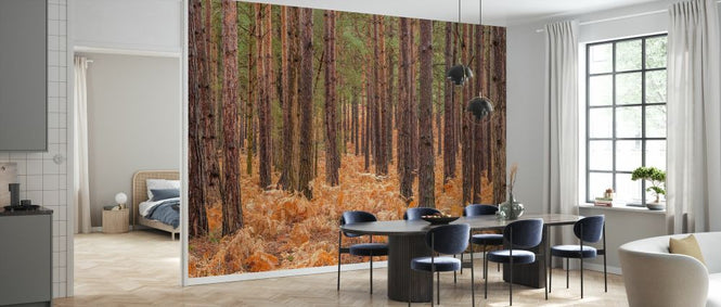 PHOTOWALL / Autumn Forest (e334099)