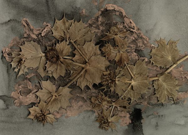 PHOTOWALL / Mare Day (e334407)