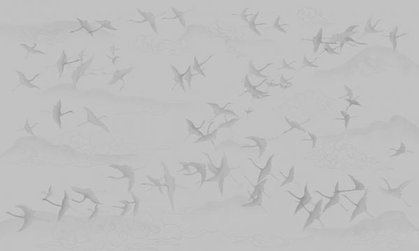 PHOTOWALL / Aviation - Grey (e334413)