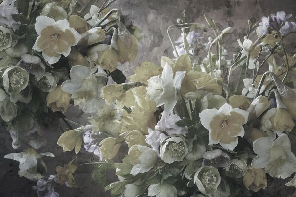 PHOTOWALL / Narcissus (e334424)